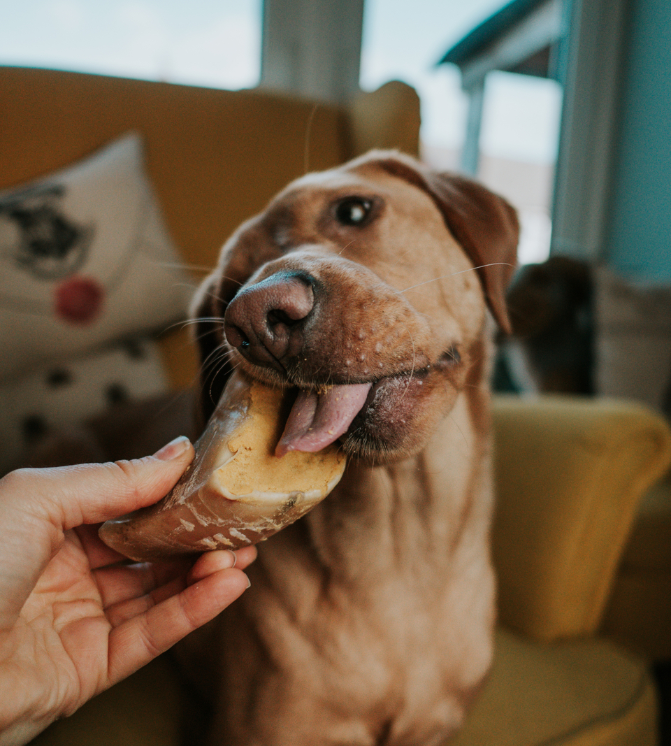 Cheese Filled Hoof Safe, Delicious Chew for Dogs