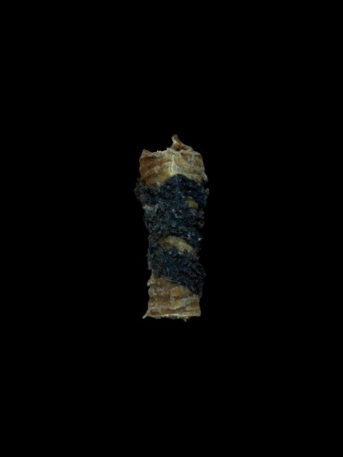 13195_1.png