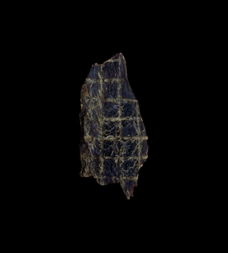 13602_2.png