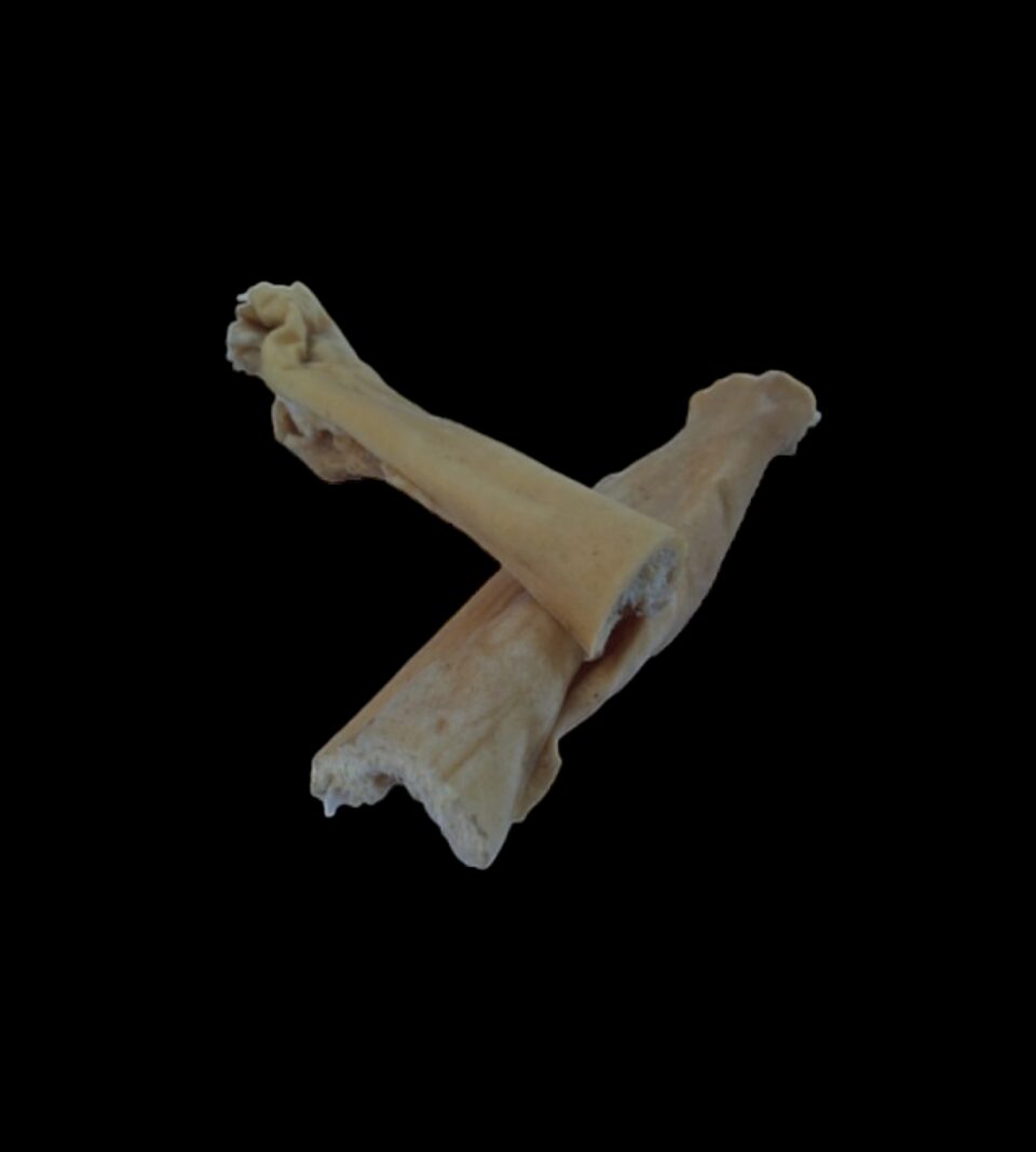 913031_1.png