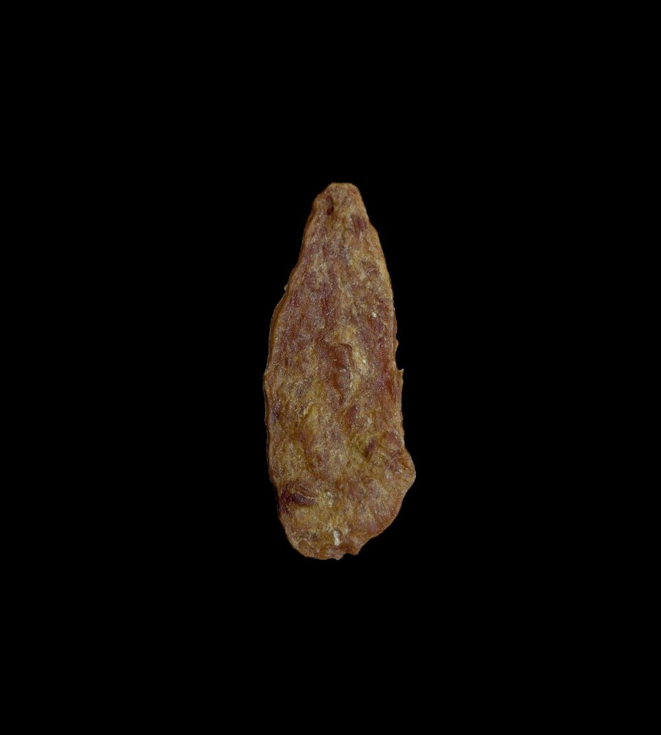 913055_1.png