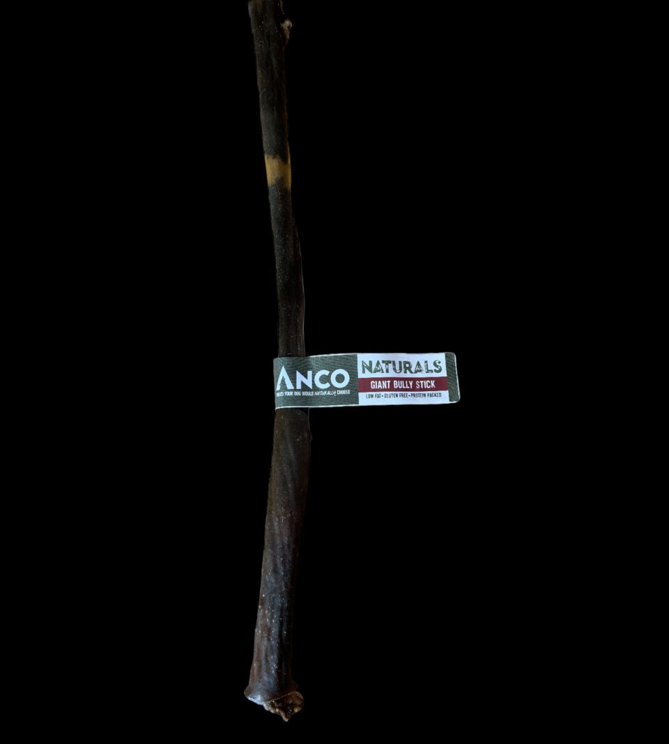 913036.png