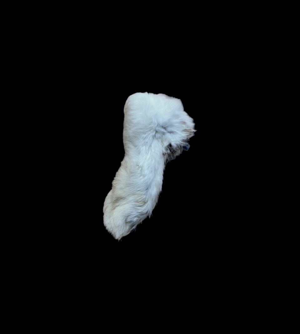 913077_1.png