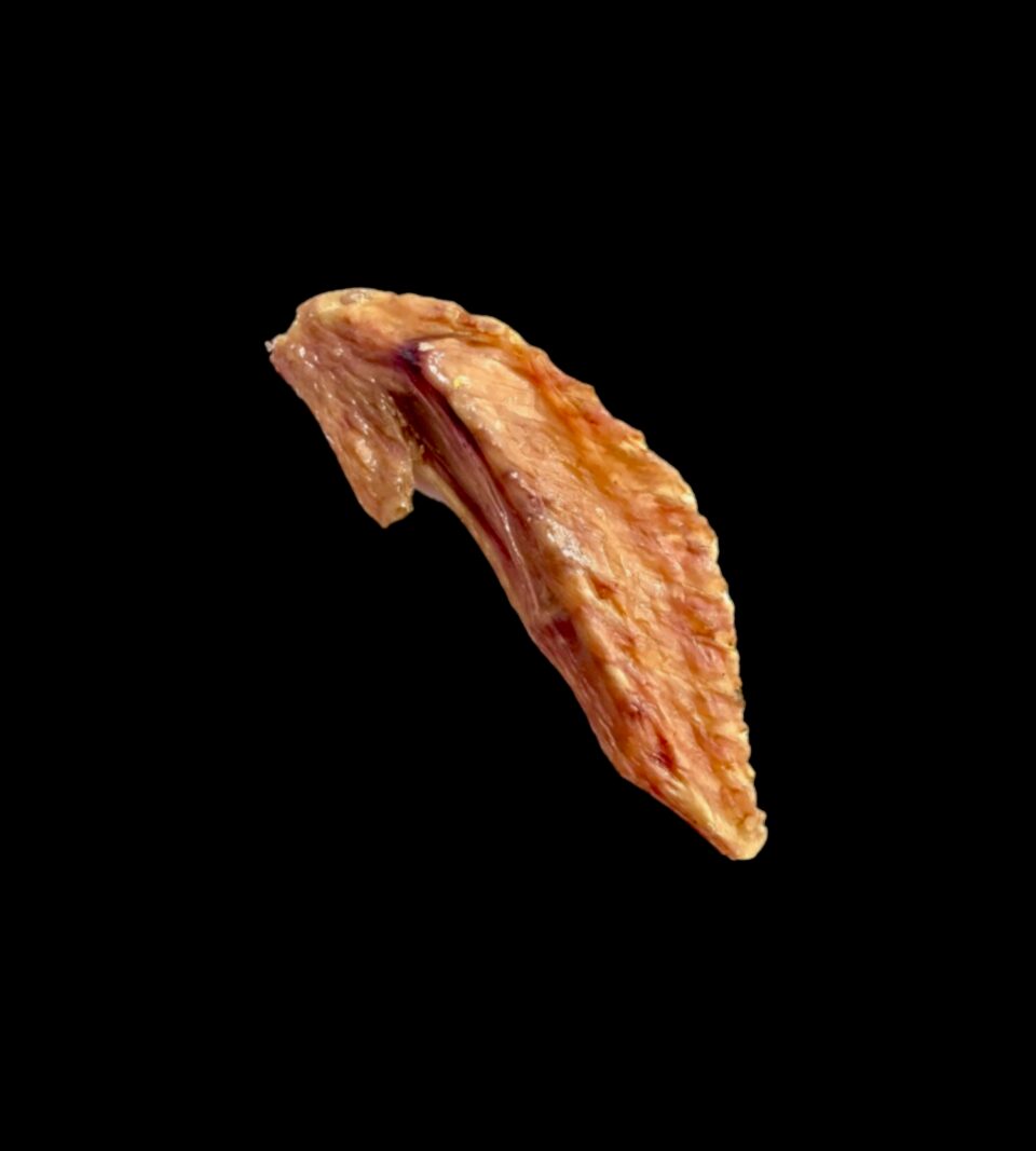 913042_1.png
