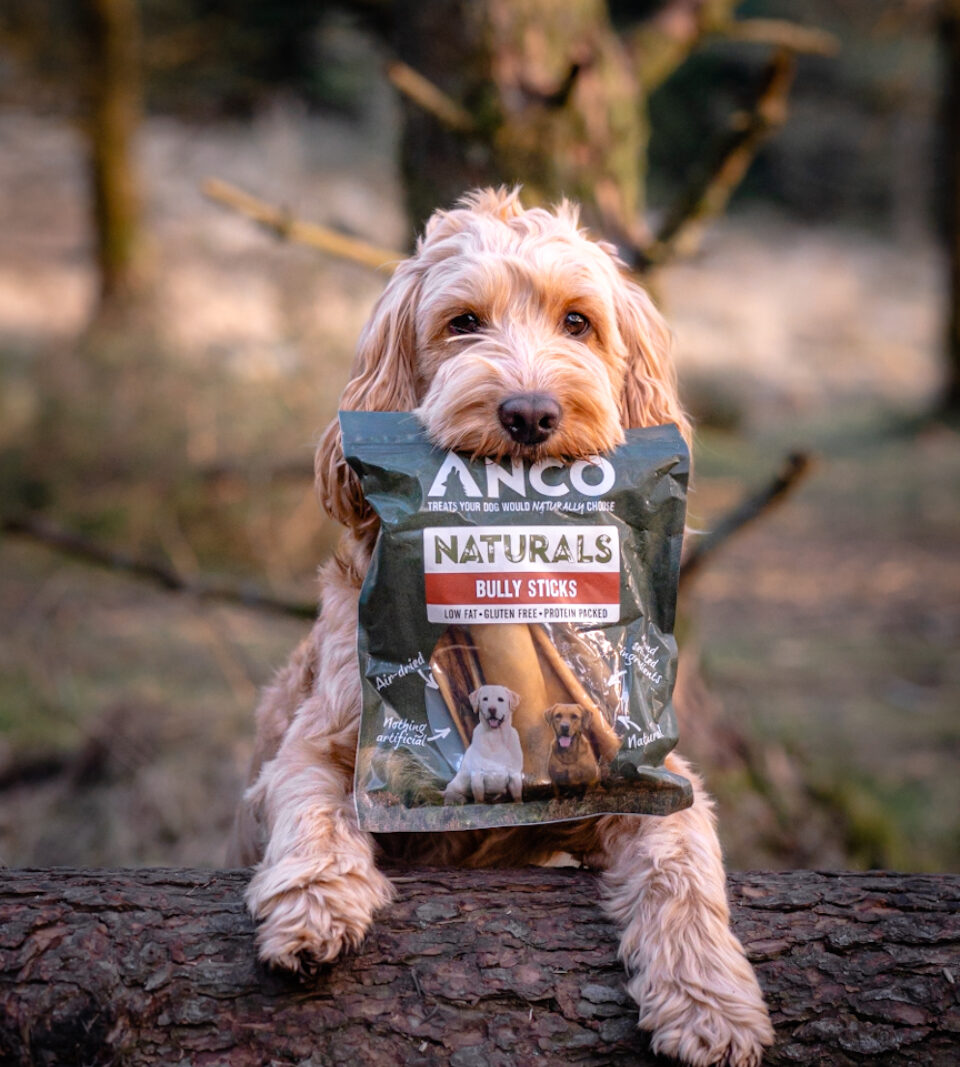 913031_2.JPG